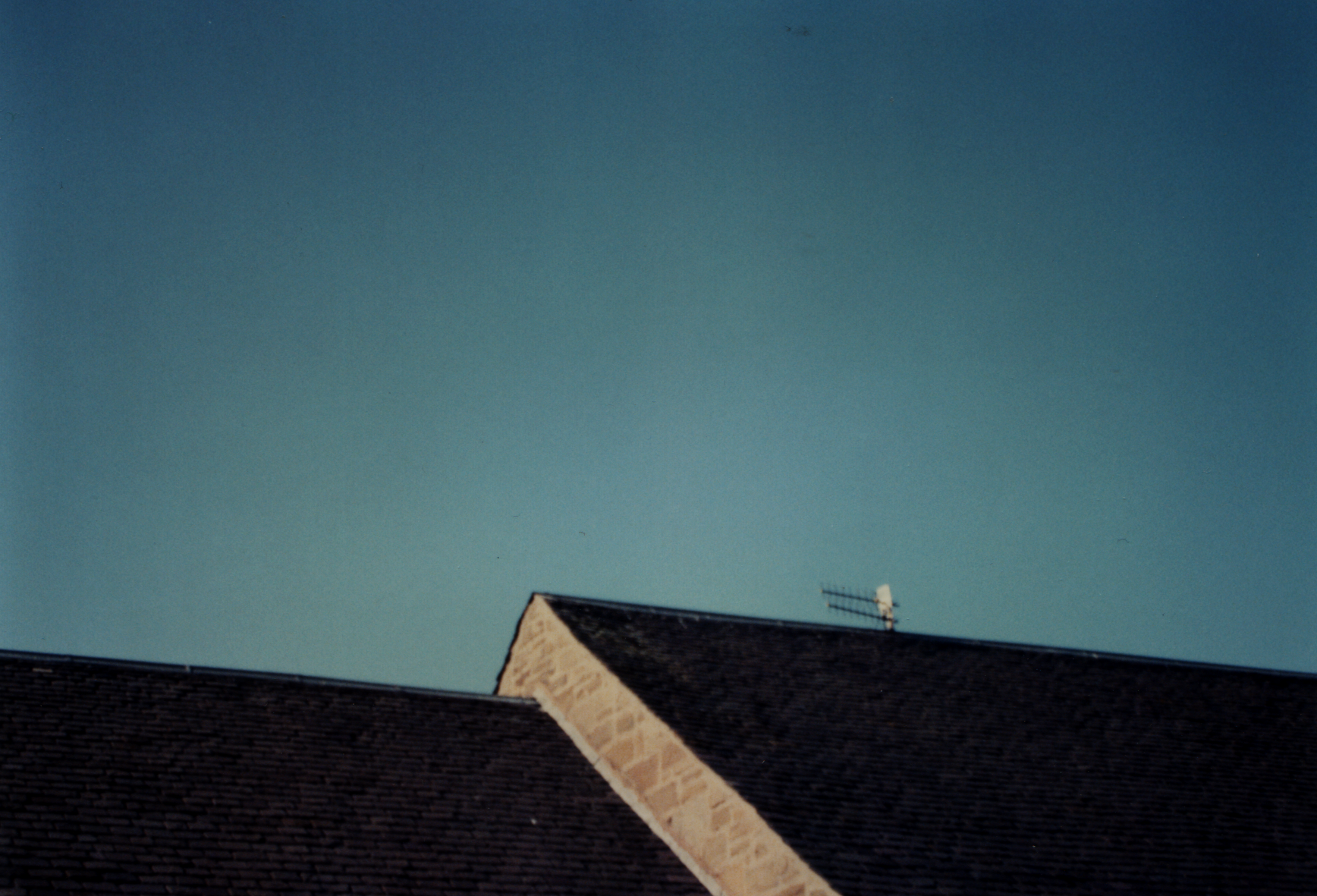 The same scene some weeks later.